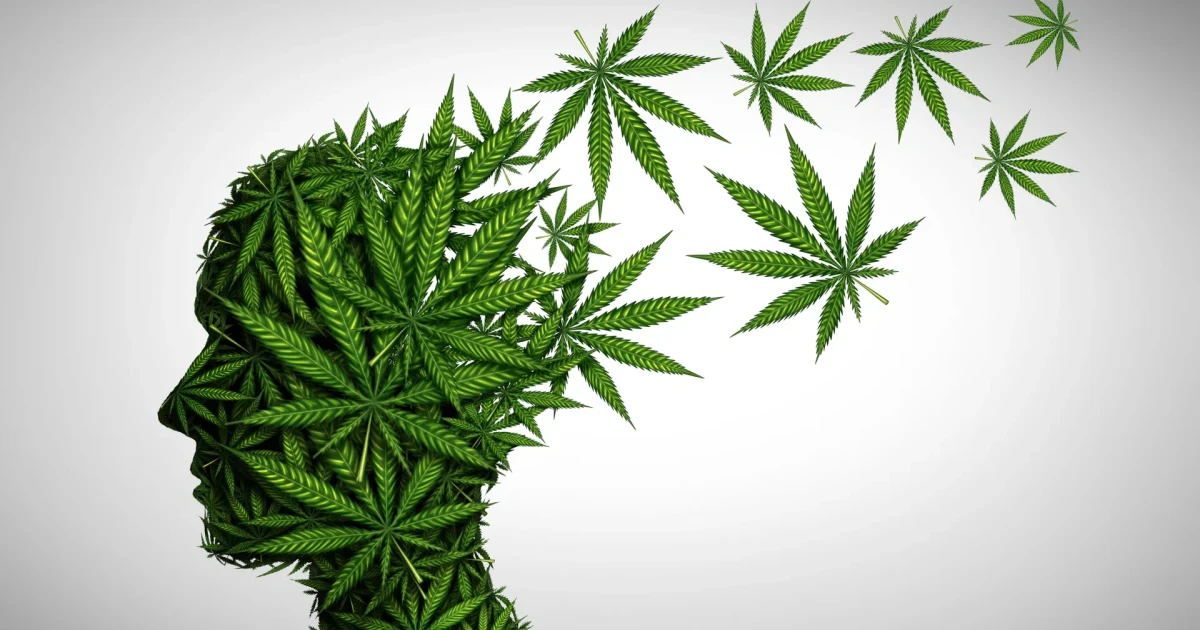 Adolescent cannabis use linked to higher risk of psychiatric illness