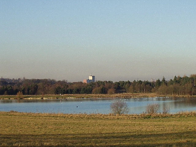 Swan Pool — Wikimedia Commons