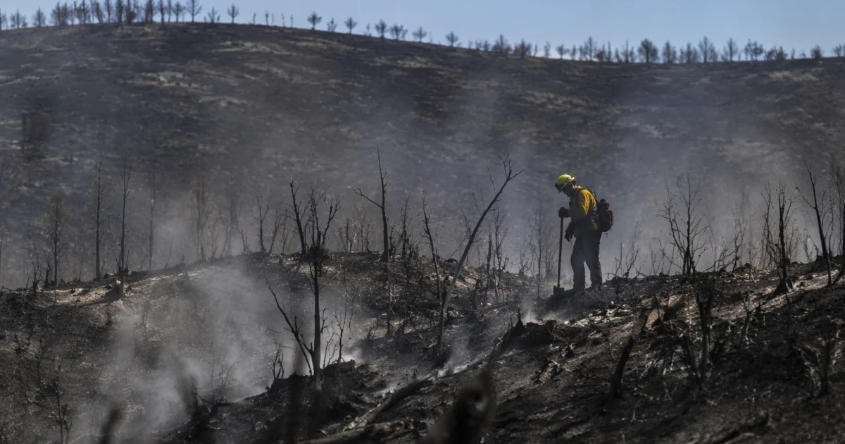 Three firefighters killed in Colorado-Utah border wildfire burnover
