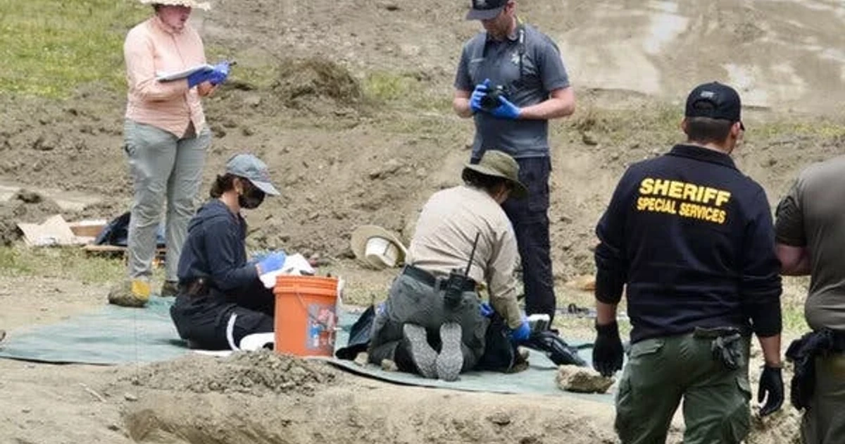 Authorities find 600 collars in California dog killing investigation