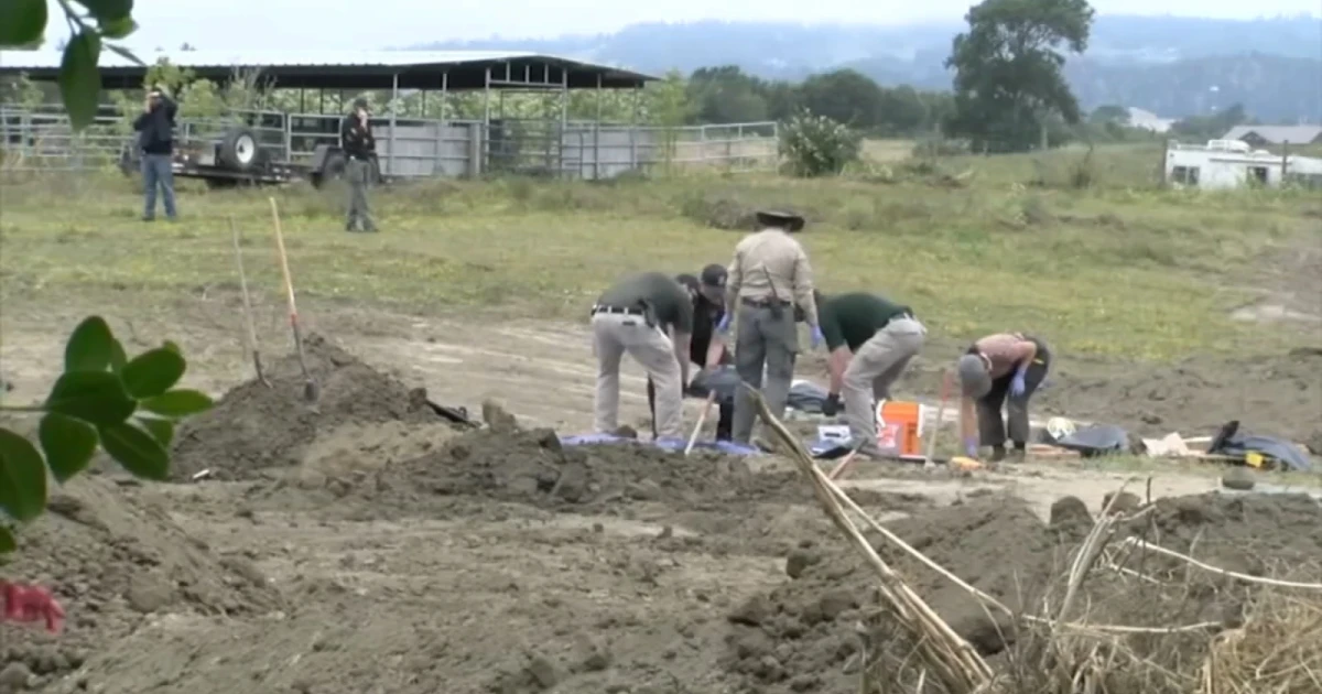 Authorities find 117 dog remains in California rescue investigation