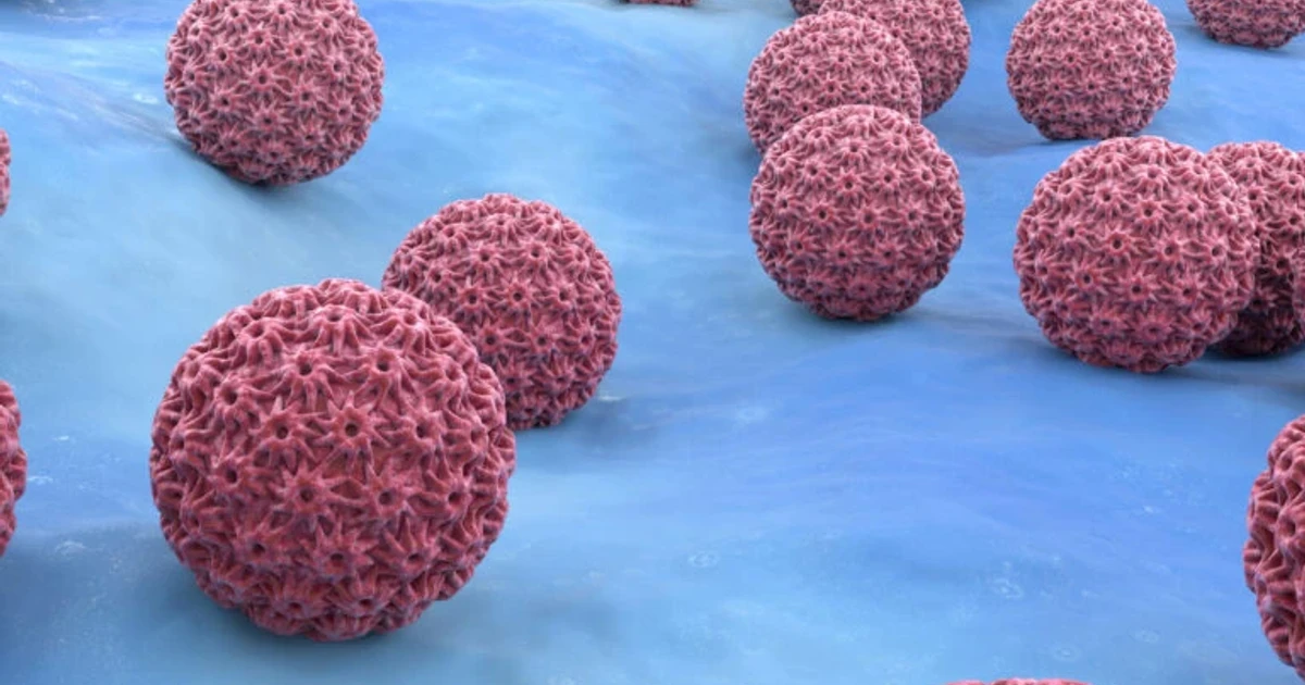 USC researchers develop renewable immune cells to attack cancer