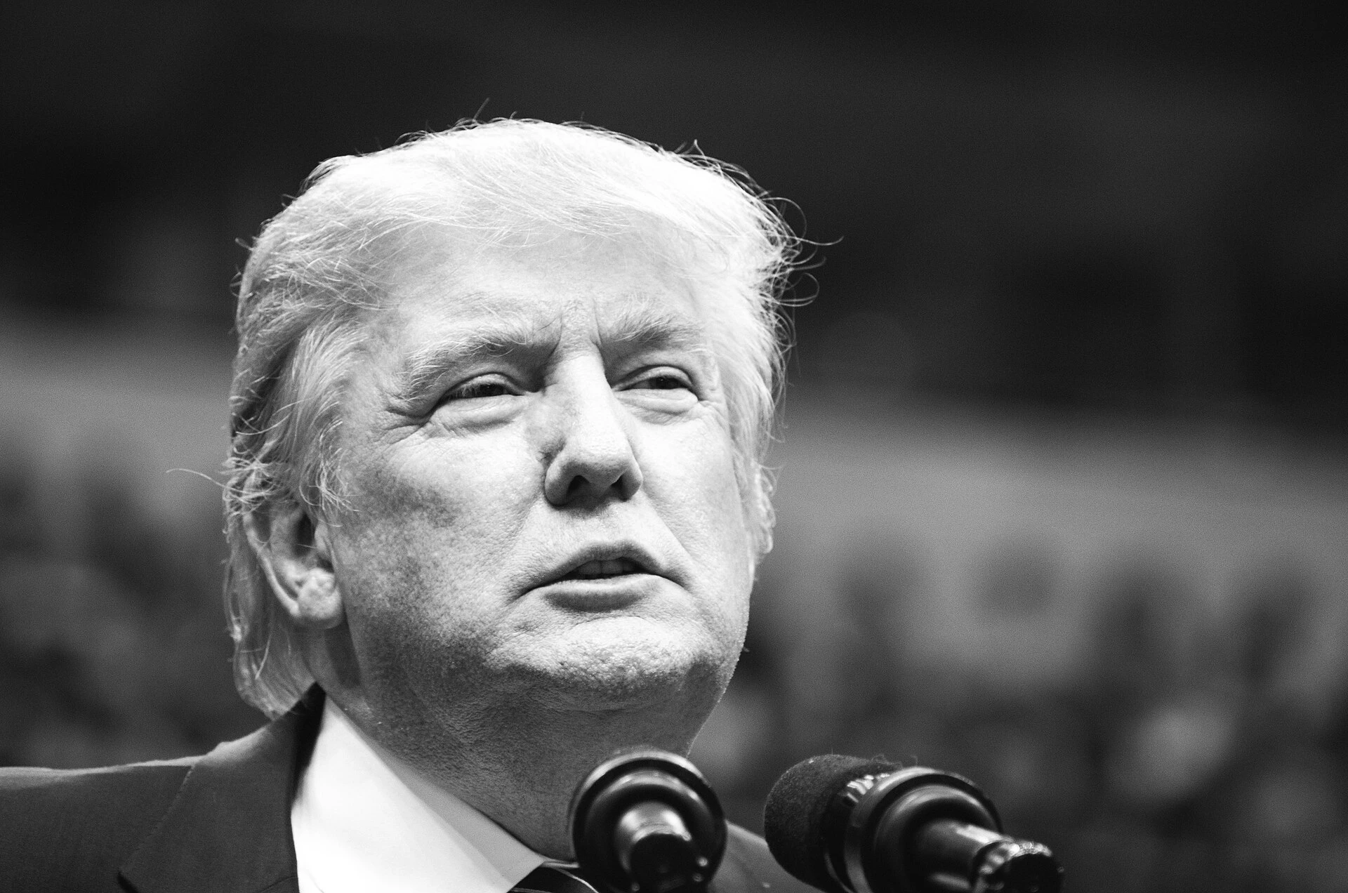 Donald Trump — Wikimedia Commons