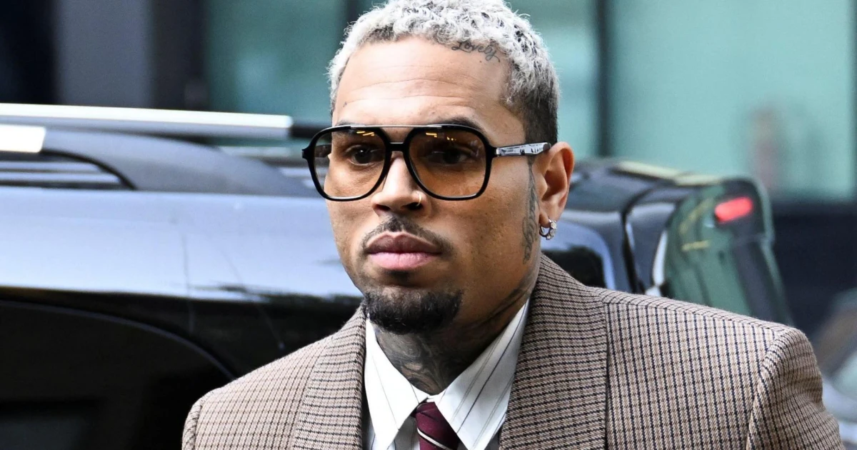 Los Angeles jury orders Chris Brown to pay nearly $13 million after dog mauling
