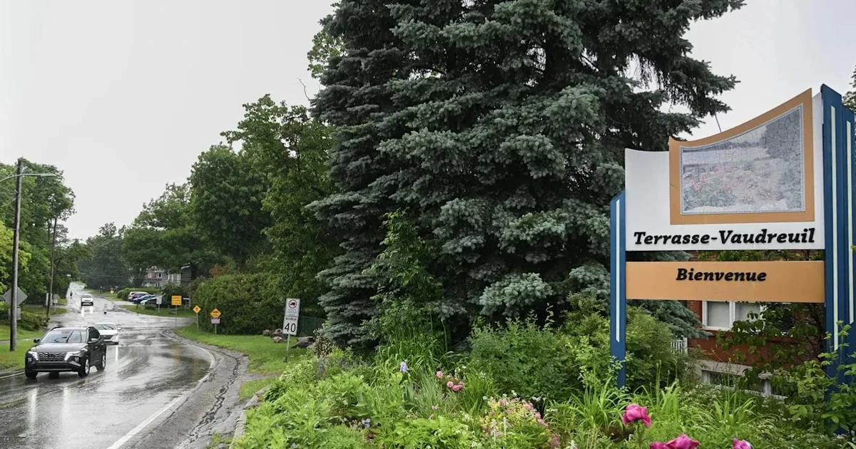 Terrasse-Vaudreuil becomes first Canadian town to recognize trees’ rights