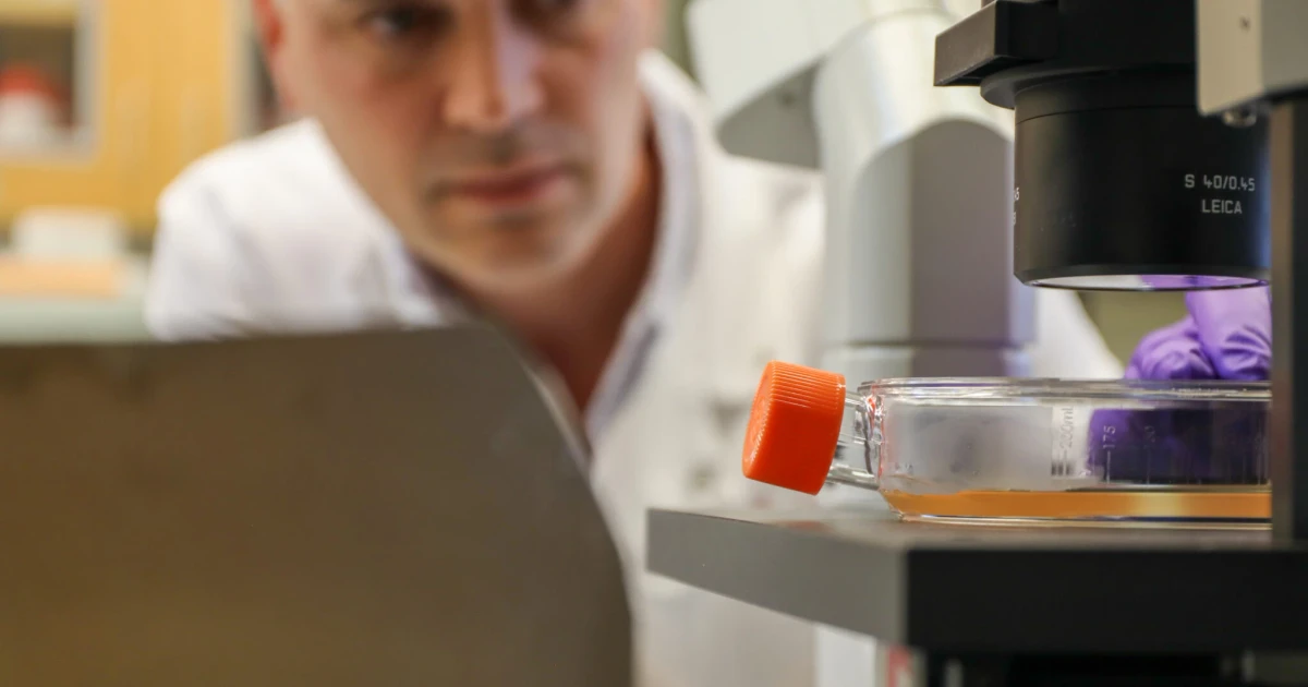 Oregon researchers identify parasite targets for universal malaria vaccine