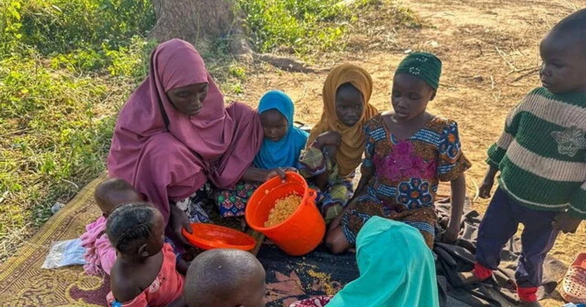 UN warns 17 million in northern Nigeria face severe hunger