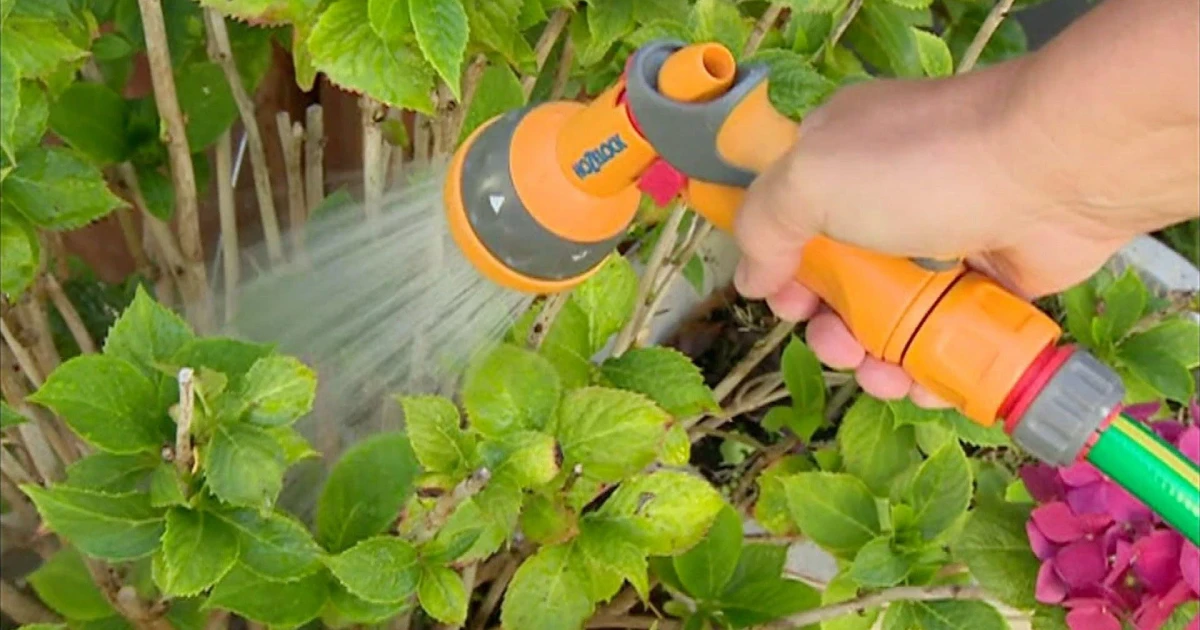 Southern Water imposes hosepipe ban in Hampshire and Isle of Wight
