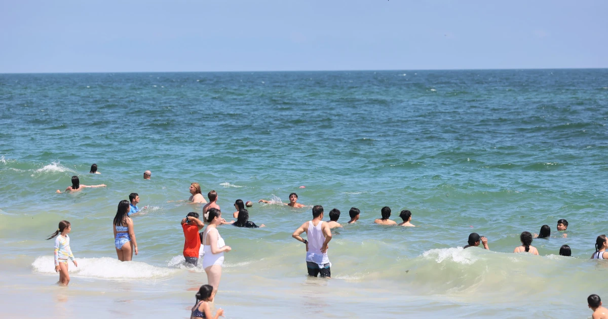 Holiday beach crowds raise shark risk on crowded Atlantic shores