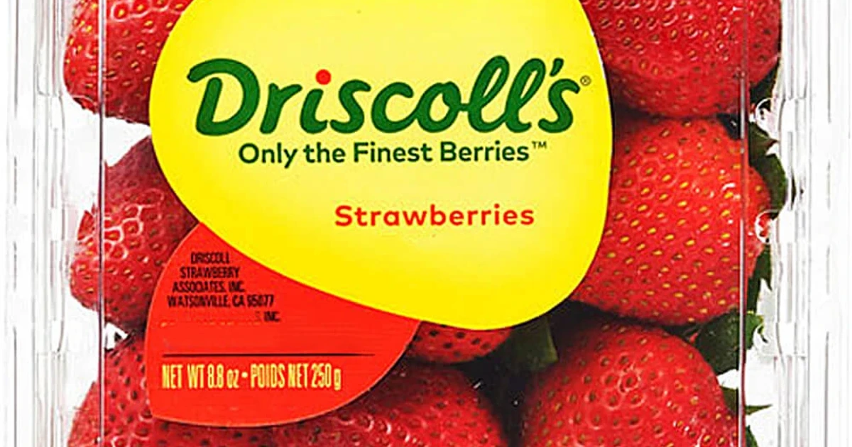 How Driscoll's turned berries into a year-round global staple
