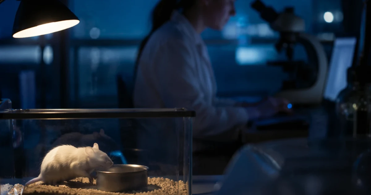 Late-night eating disrupts gut body clocks in mice, study finds
