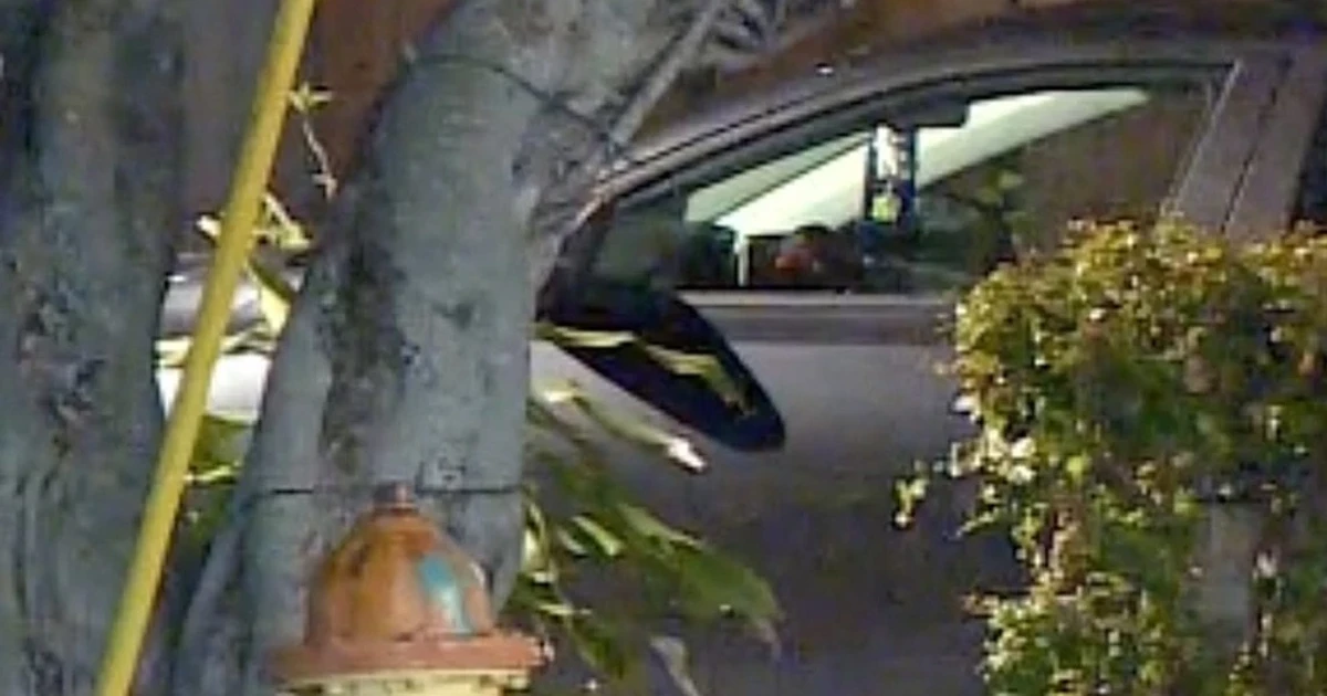 Florida toddler dies after being left in hot car by babysitter