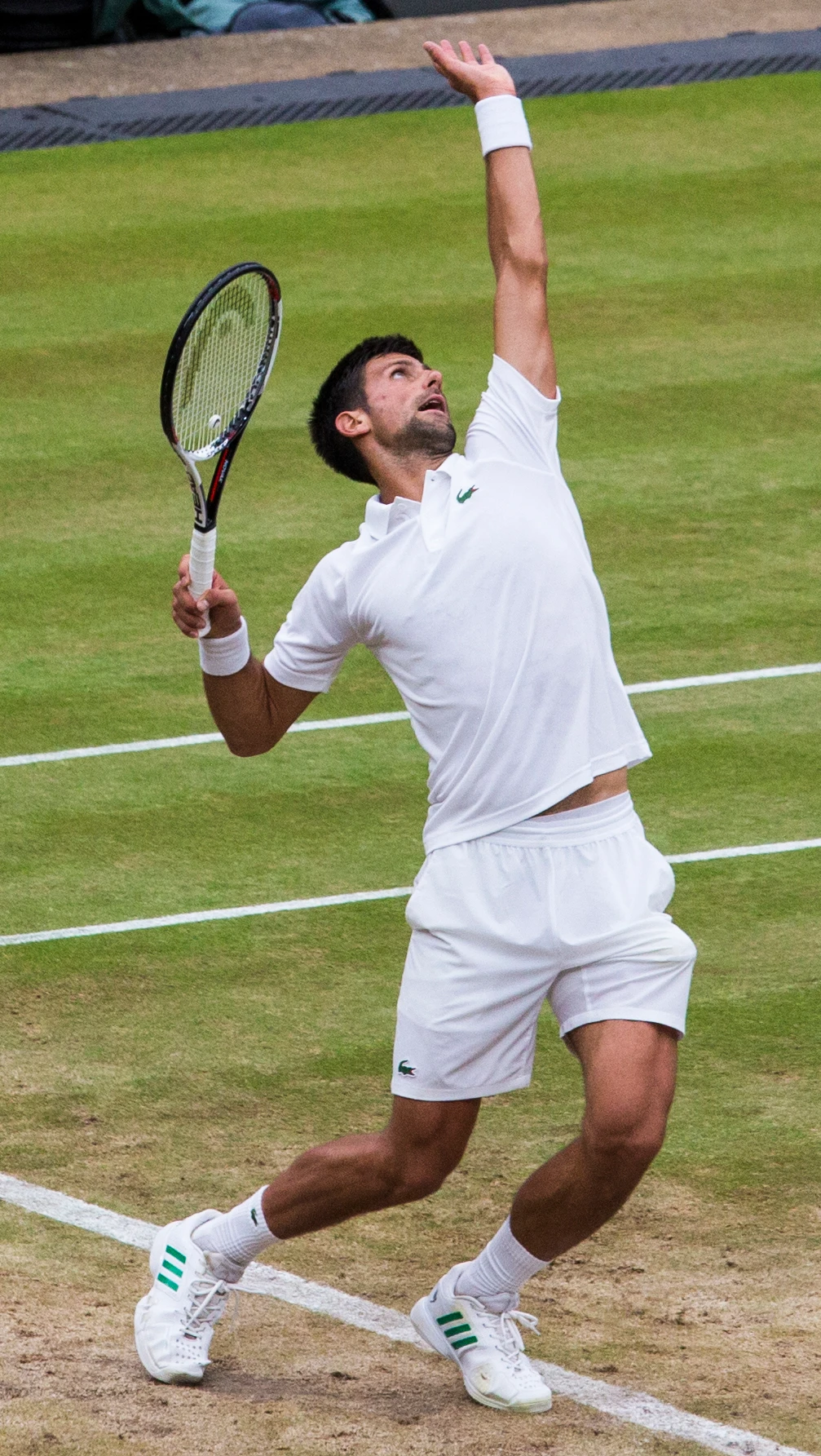 Novak Djokovic — Wikimedia Commons