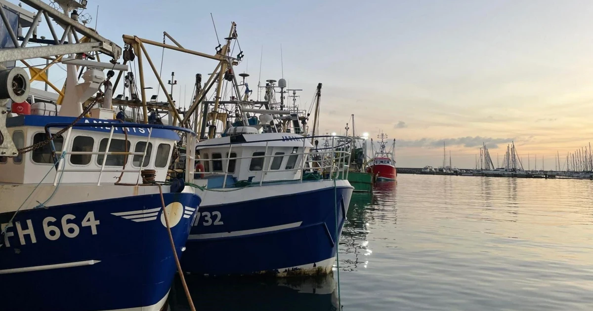 UK sea heatwave threatens marine life as waters reach record highs