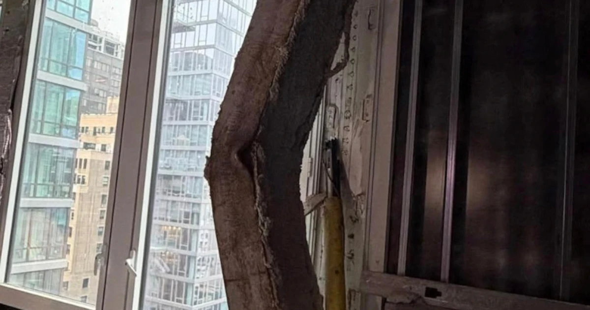 Former Pfizer tower in Midtown East evacuated after support beams buckle
