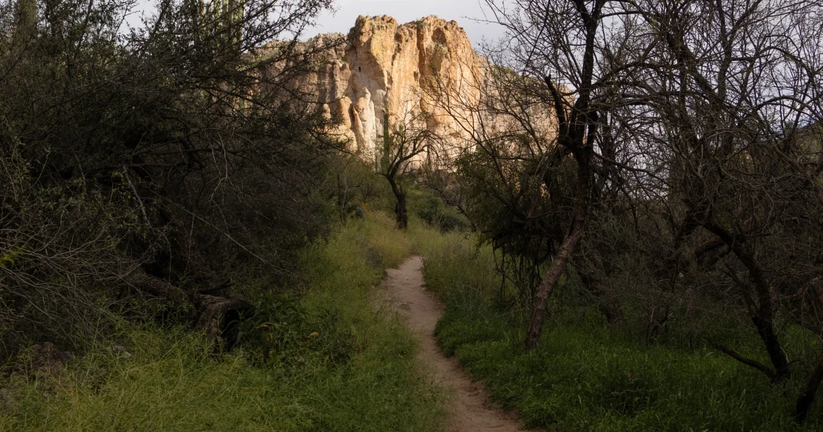 Arizona man accused of living eight years at trash-filled forest campsite