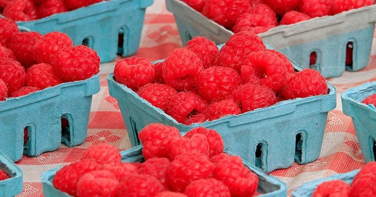 Cyclosporiasis cases rise across U.S., fresh produce suspected source