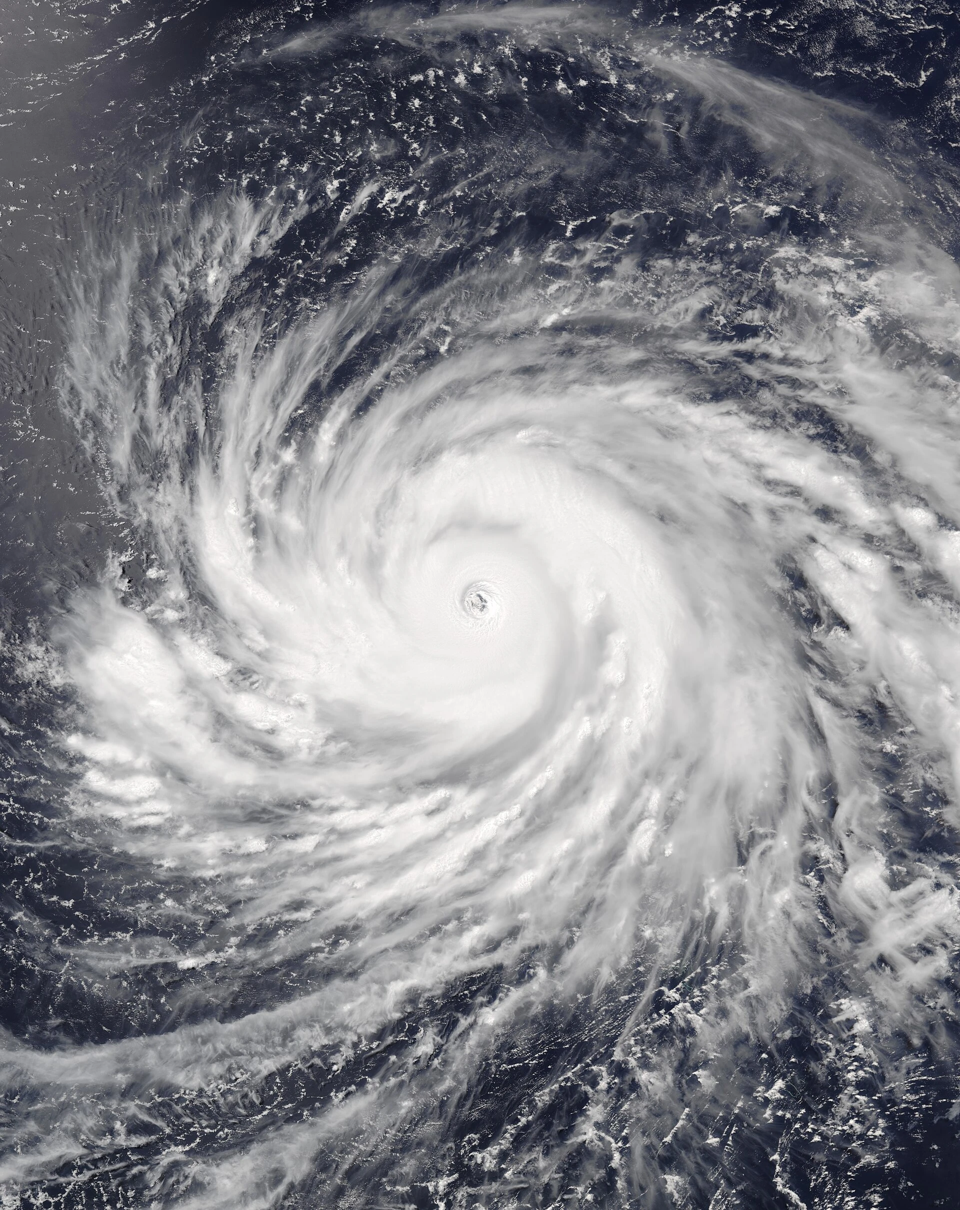 Super Typhoon Bavi — Wikimedia Commons