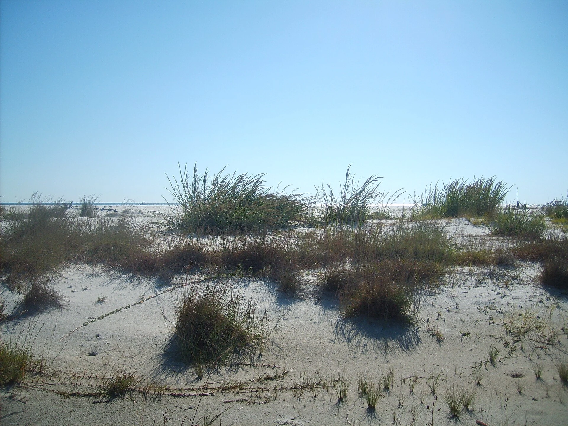 Horn Island — Wikimedia Commons