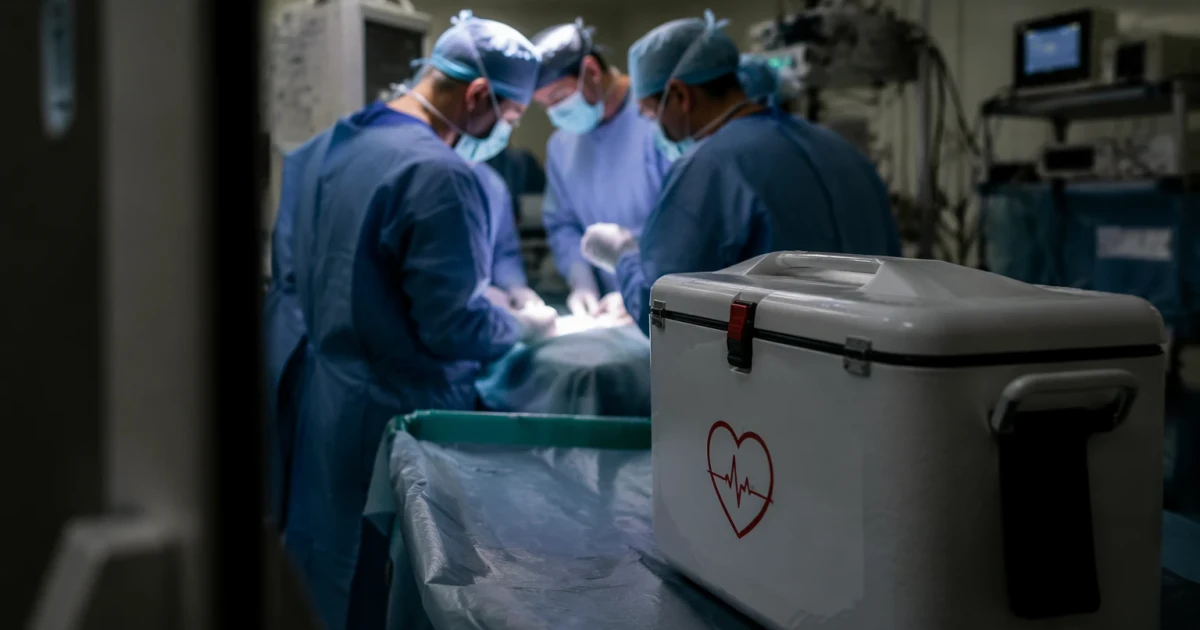 Ethicists weigh organ donation after euthanasia as practice spreads