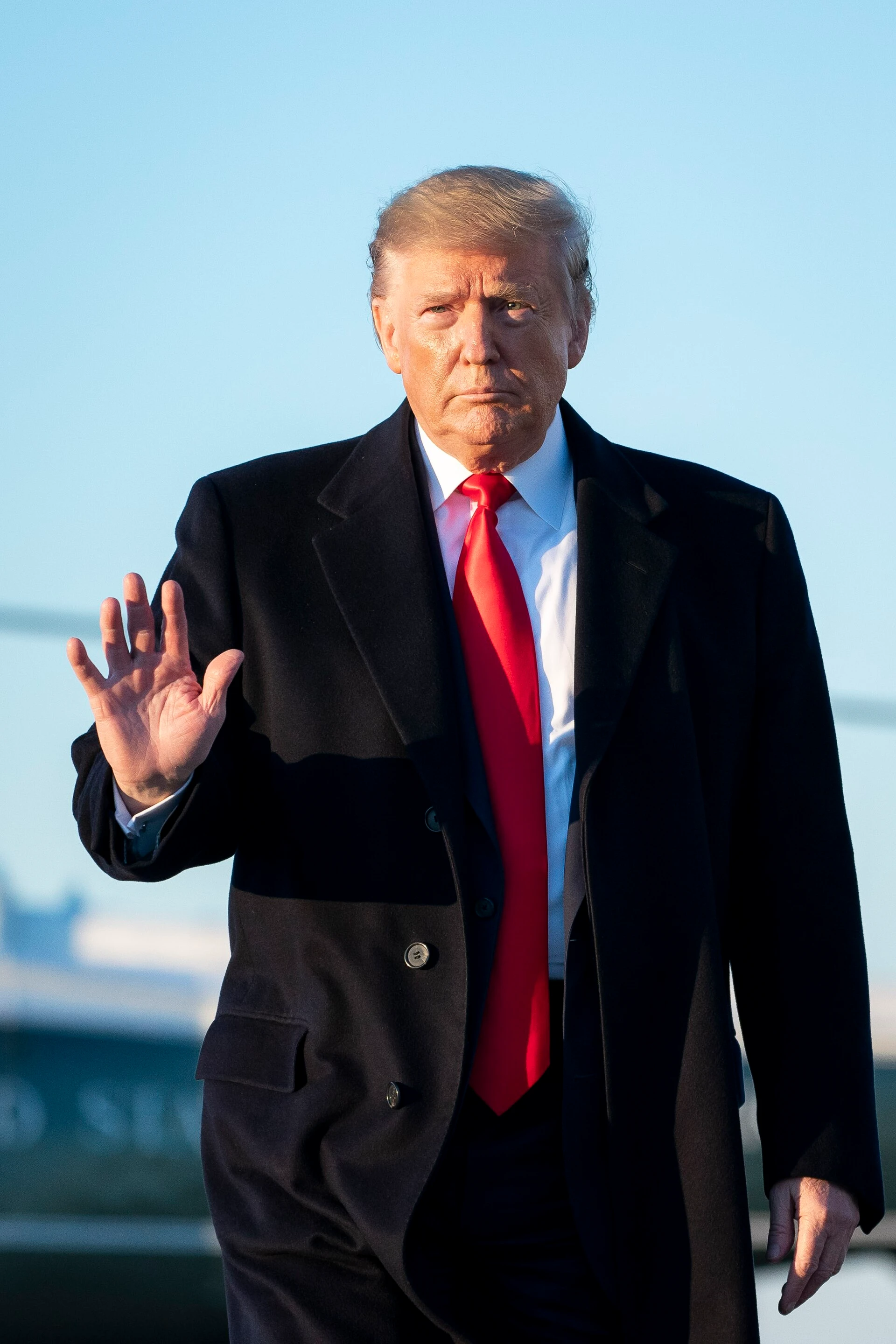Donald Trump — Wikimedia Commons