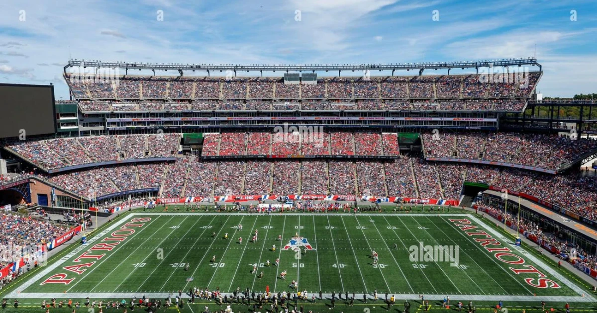 Gillette Stadium’s geese-chasing dog keeps Patriots practice fields clear