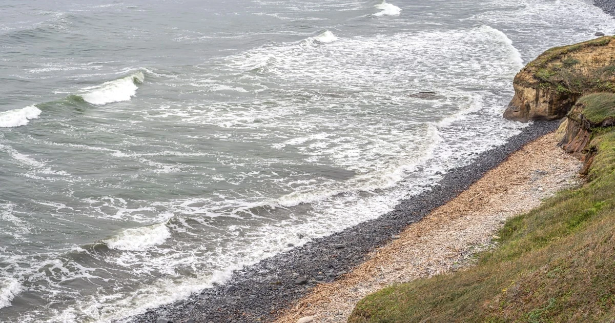 Man loses hand after bomb-like device explodes on California beach