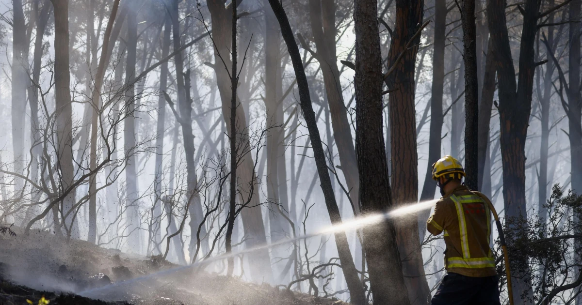 Wildfire in southern Spain kills 12, forces 1,000 to evacuate
