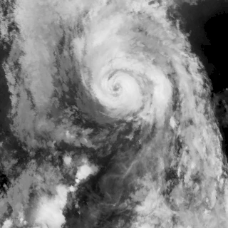 Typhoon Bavi — Wikimedia Commons