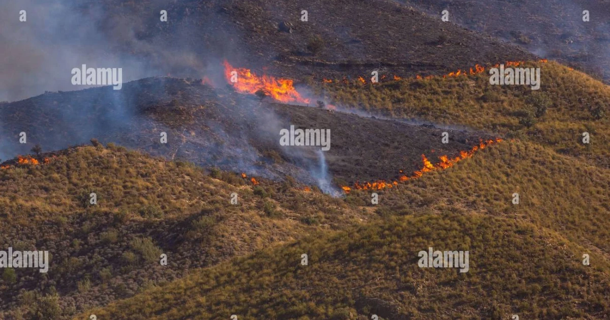 Spain wildfire death toll rises to 12 in Andalusia blaze