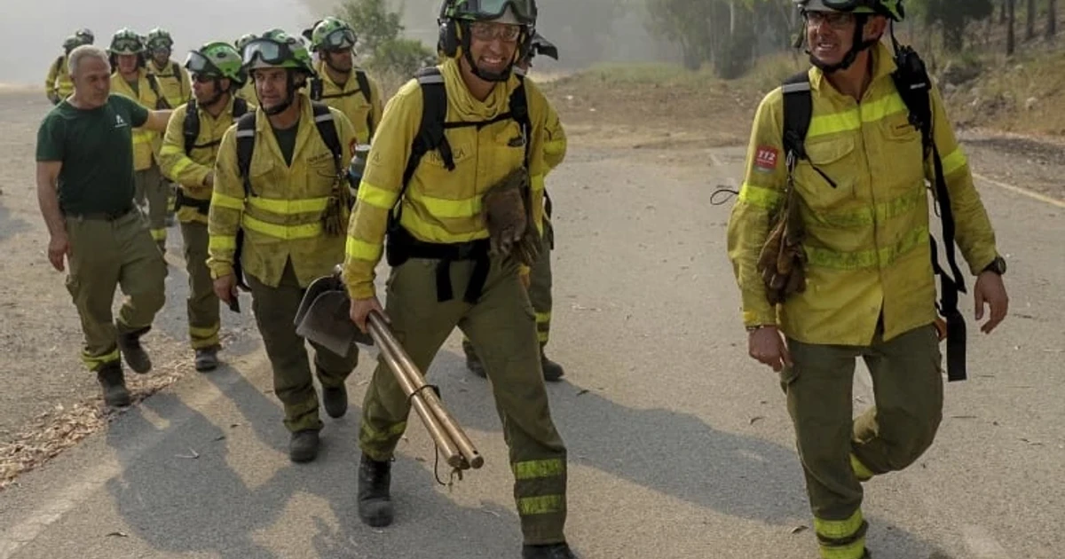 At least 11 die in southern Spain wildfire as heat wave rages