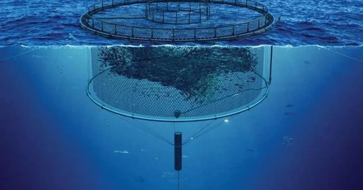 EPA clash over microplastics monitoring for first federal fish farm