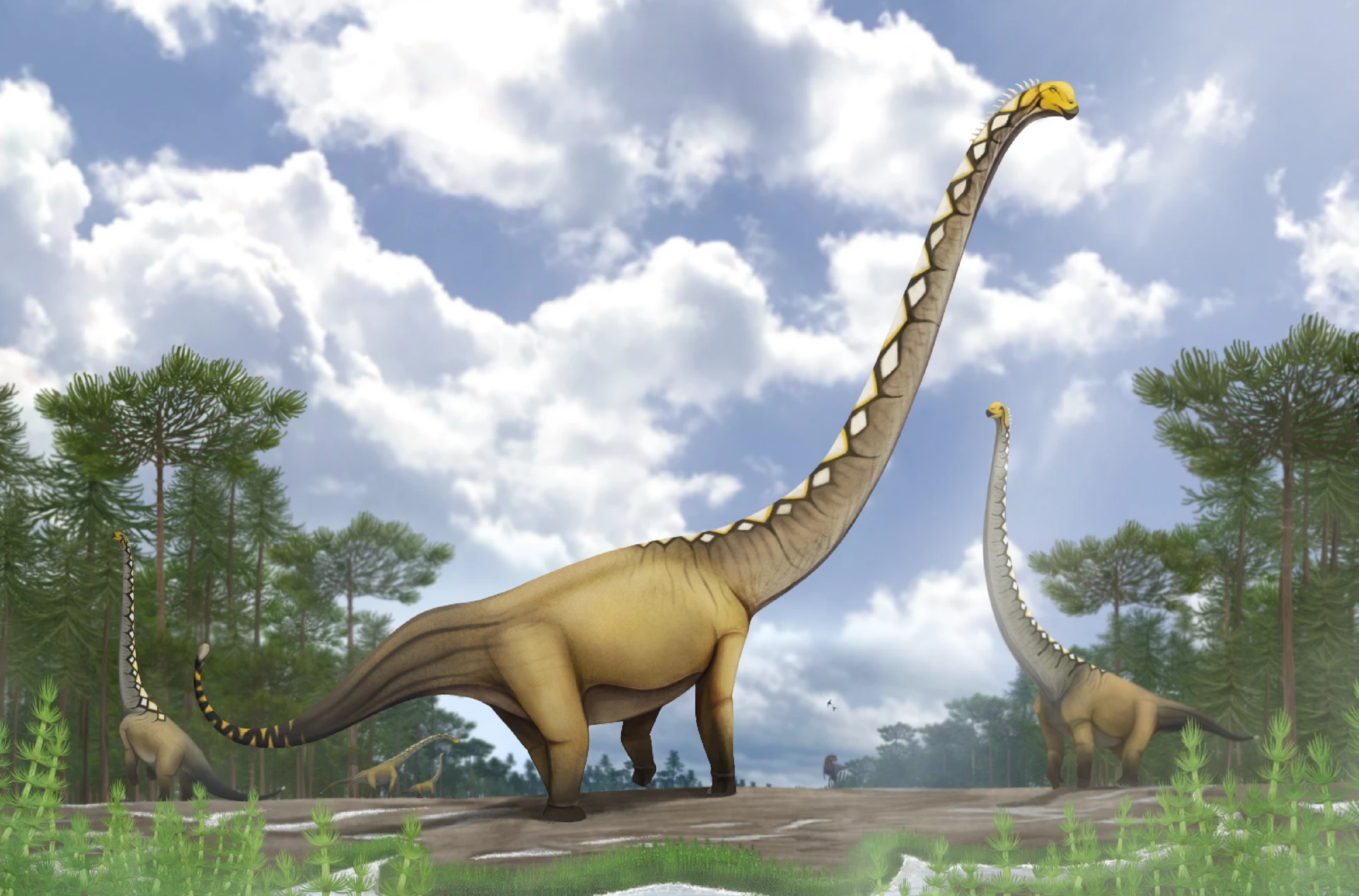 Uragasaurus kalasinensis — Wikimedia Commons
