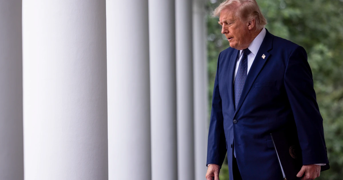 Trump sought to bypass elections agency, report says