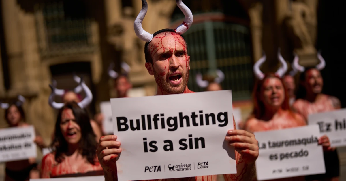Hemingway-inspired professor keeps running with Pamplona bulls