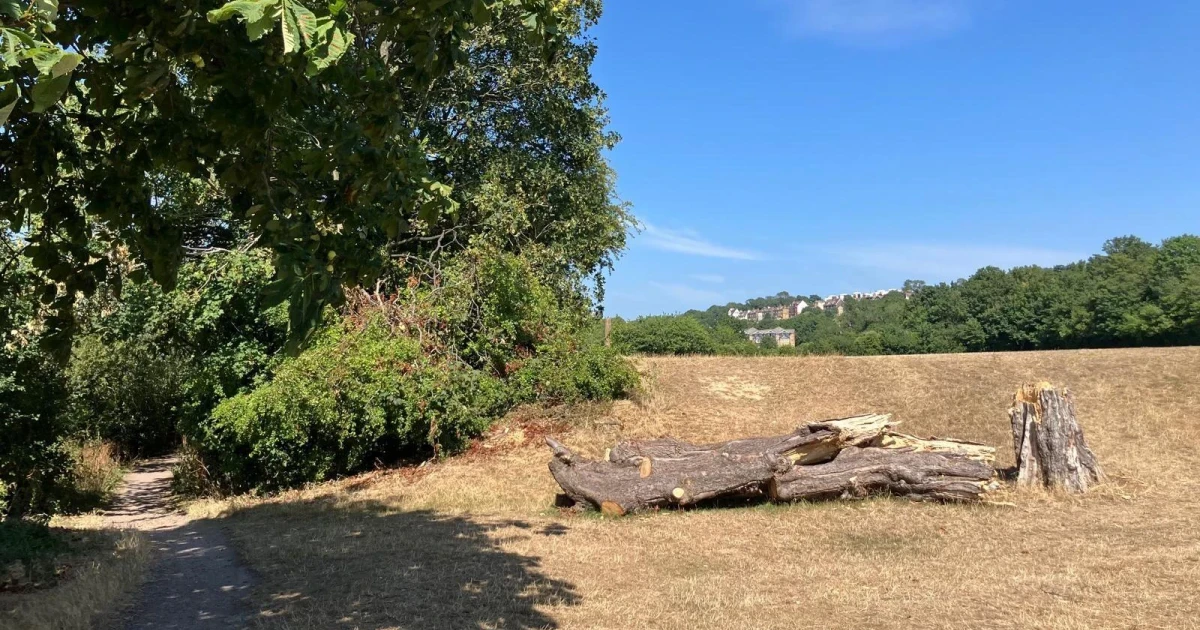 Two men arrested after body found in suitcase in Kent woods