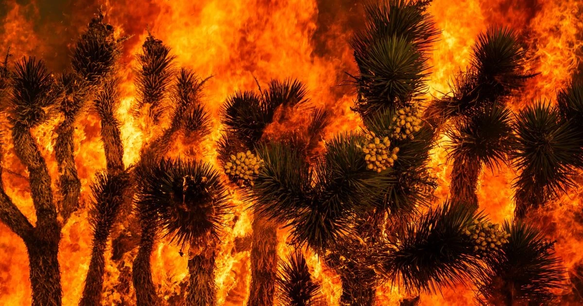 California's Summit Fire grows to 2,581 acres, prompts evacuations