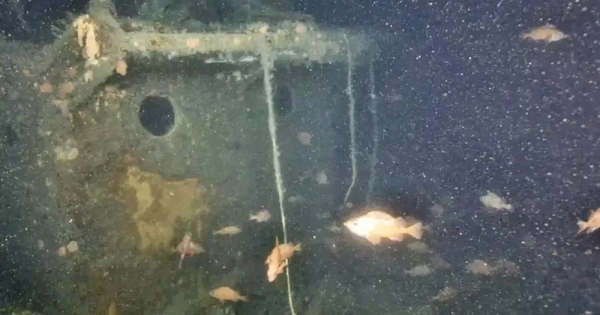 Shackleton’s Quest shipwreck reveals damage, and a thriving deep-sea habitat