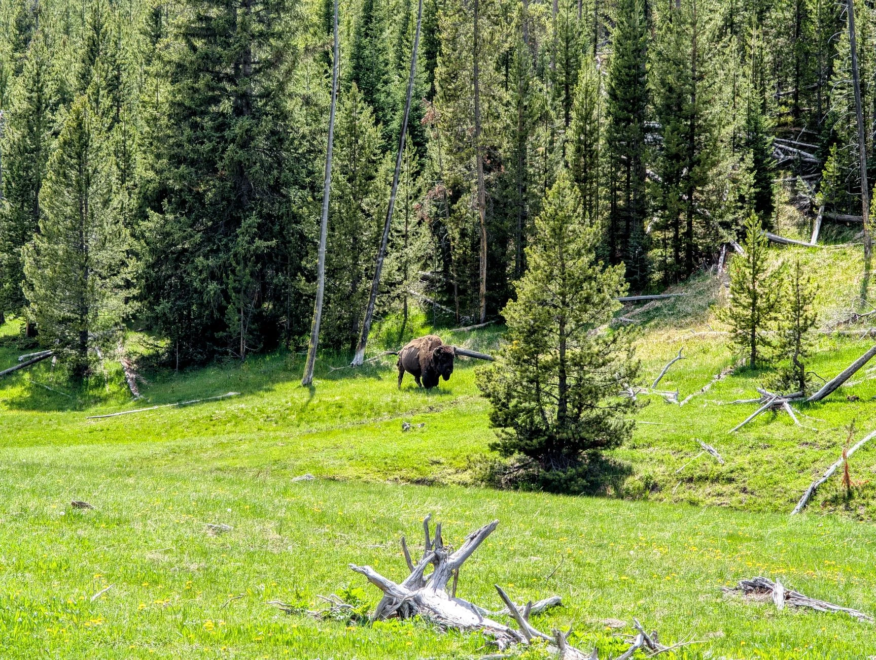 Related stock photo