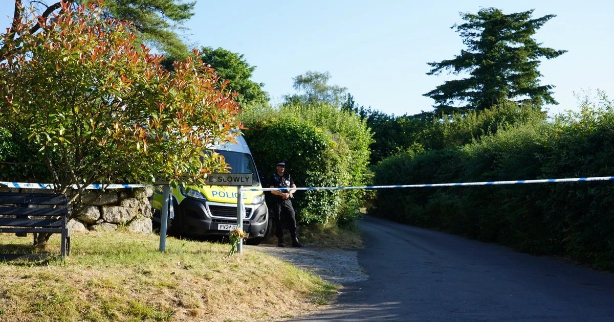 Burnham faces £4.7 billion defence gap as Widdecombe murder probe continues