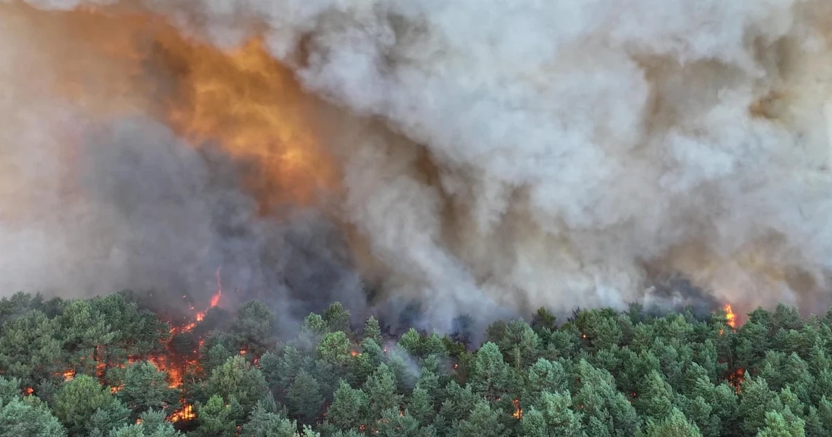 Wildfire south of Paris scorches Fontainebleau forest, forces evacuations