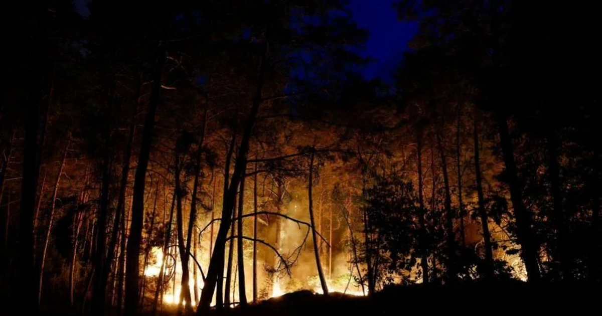 France sends firefighting planes to Paris region as wildfire spreads near Fontainebleau
