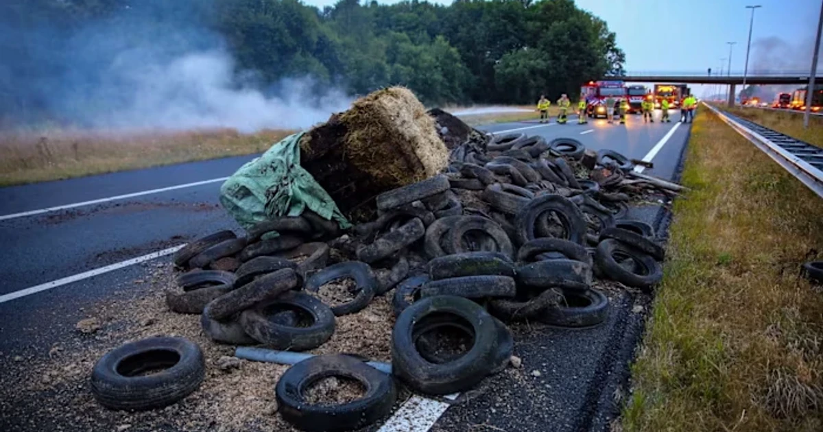 Netherlands turns manure surplus into fertilizer relief with RENURE rules