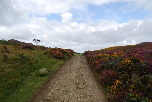 Conwy Mountain — Wikimedia Commons