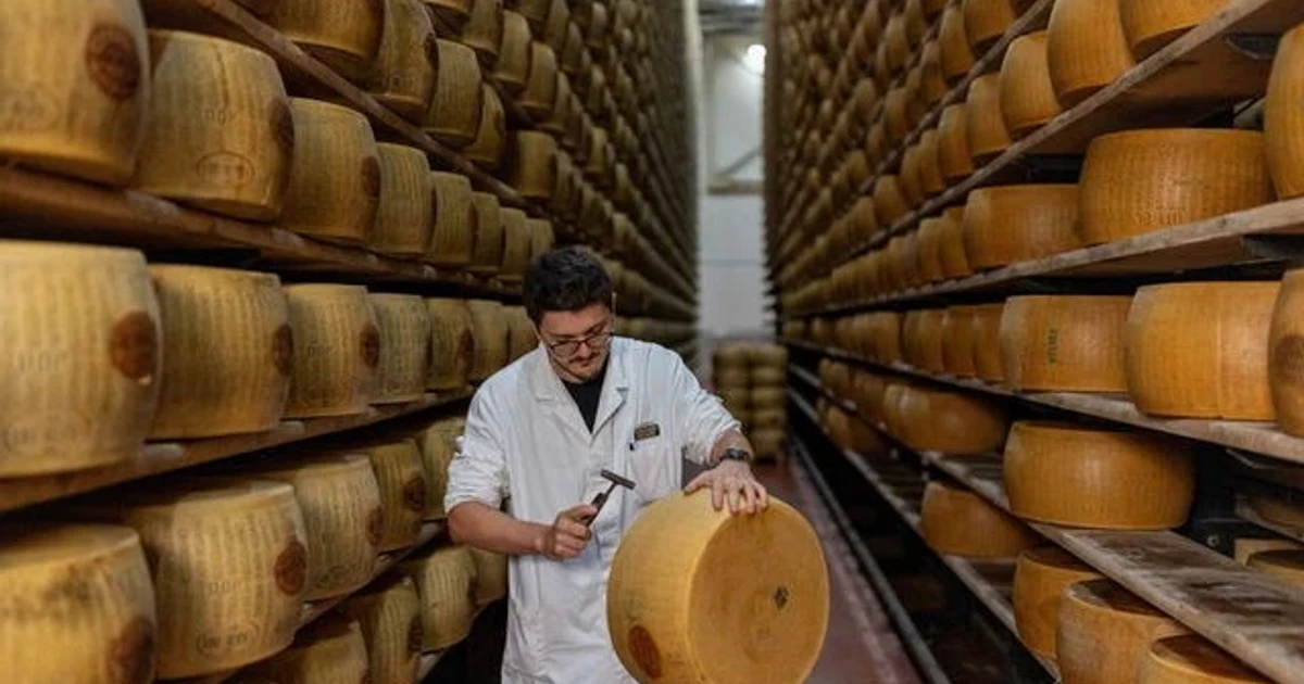 Italy's heatwave threatens Parmigiano Reggiano milk supply