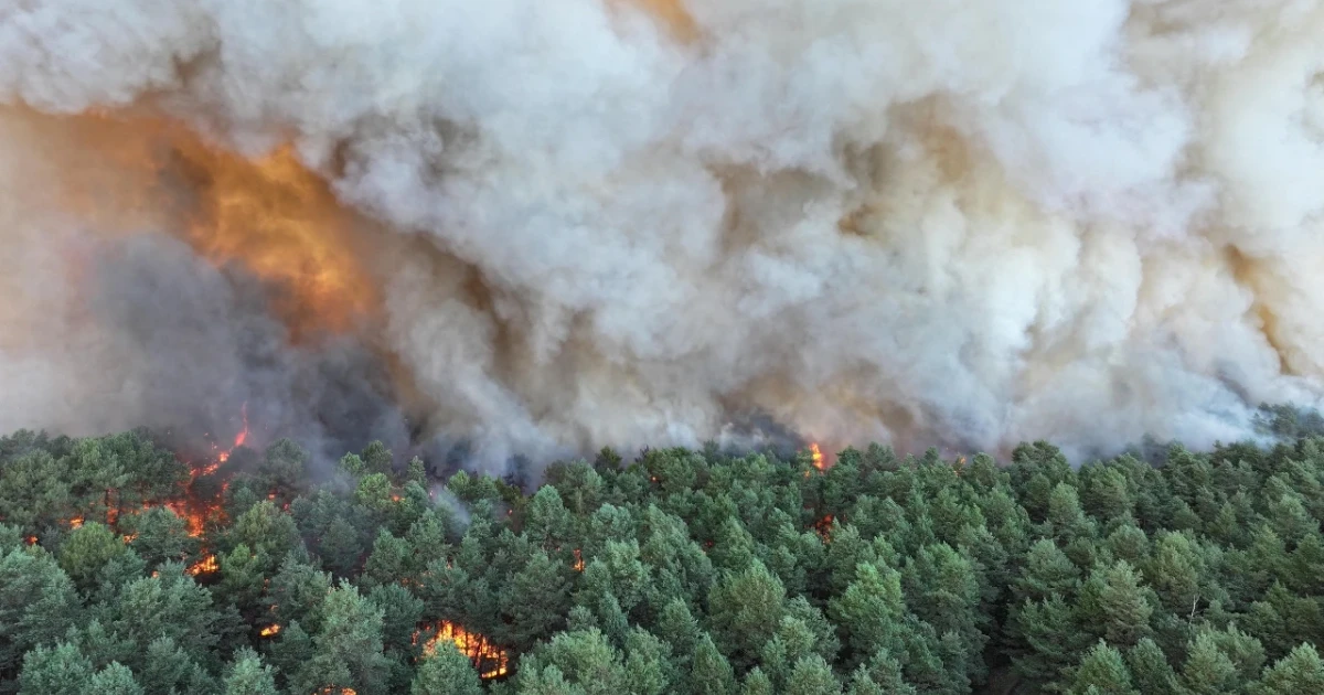 Wildfire near Paris closes highways as France battles heatwave
