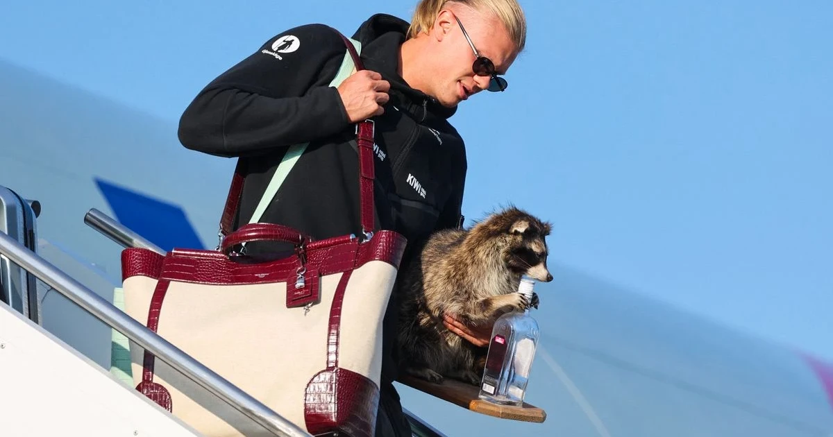 Haaland brings taxidermy raccoon and cowboy gear home from Dallas