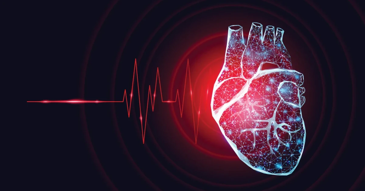 Exercise rewires the heart’s nerve network, study finds