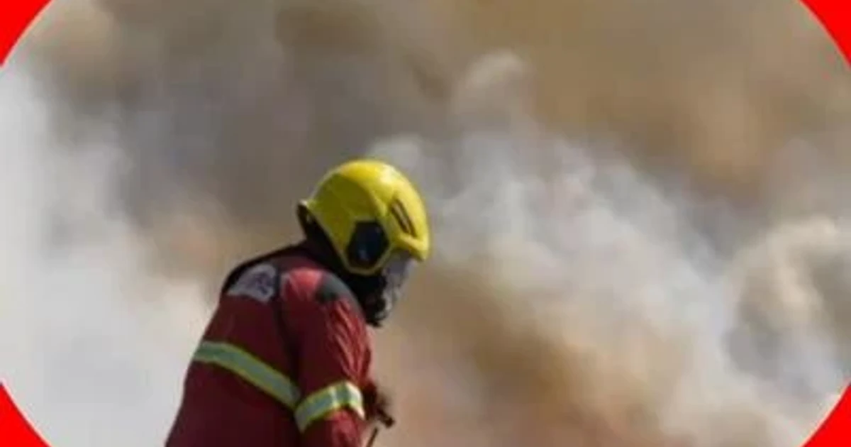Six missing after fire at Brussels OXY Tower kills workers