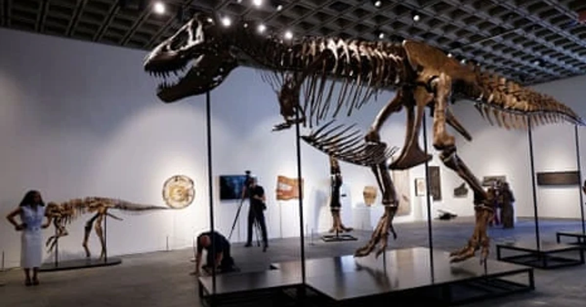 T. rex fossil Gus sets new auction record at Sotheby’s